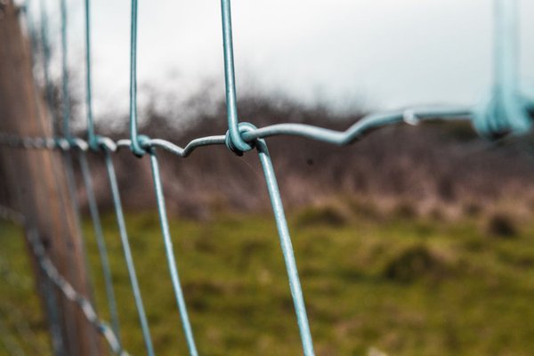 boundary disputes and property lines